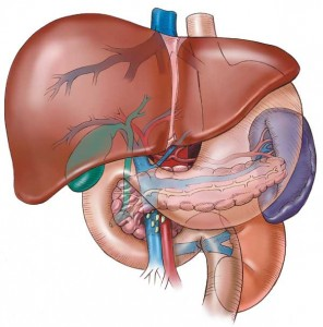 Liver Resections in kalyan